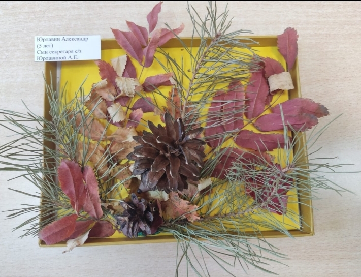 Бердский городской суд Новосибирской области