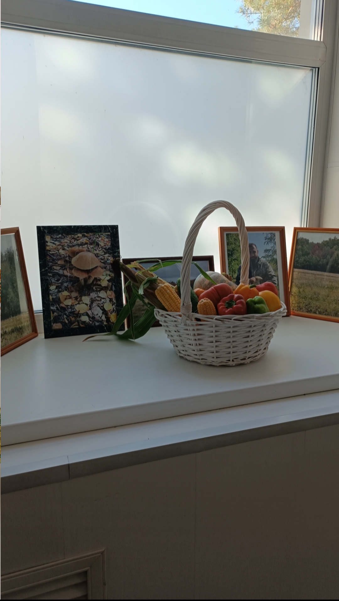 Карасукский районный суд Новосибирской области