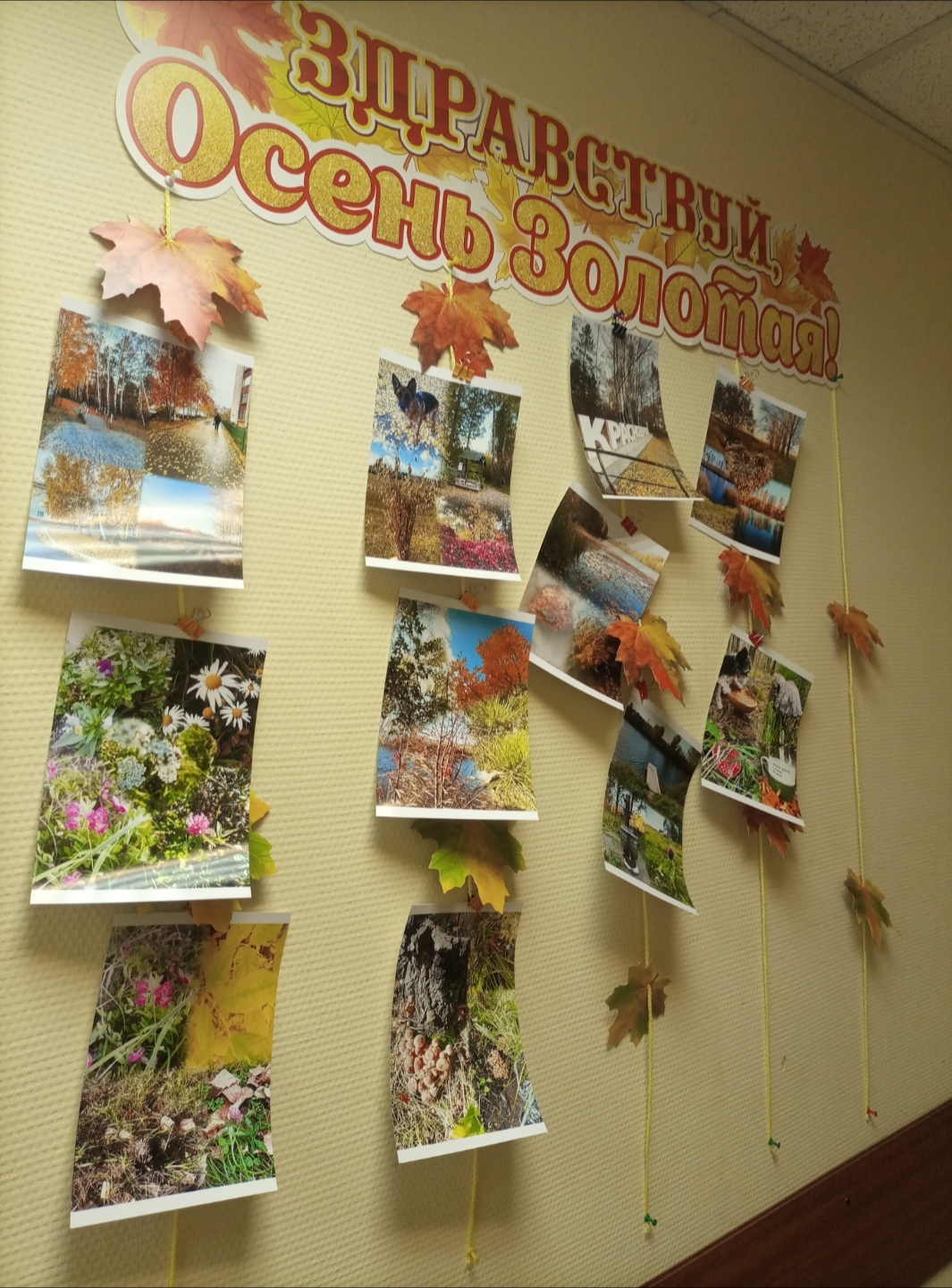 Краснозерский судебный район Новосибирской области