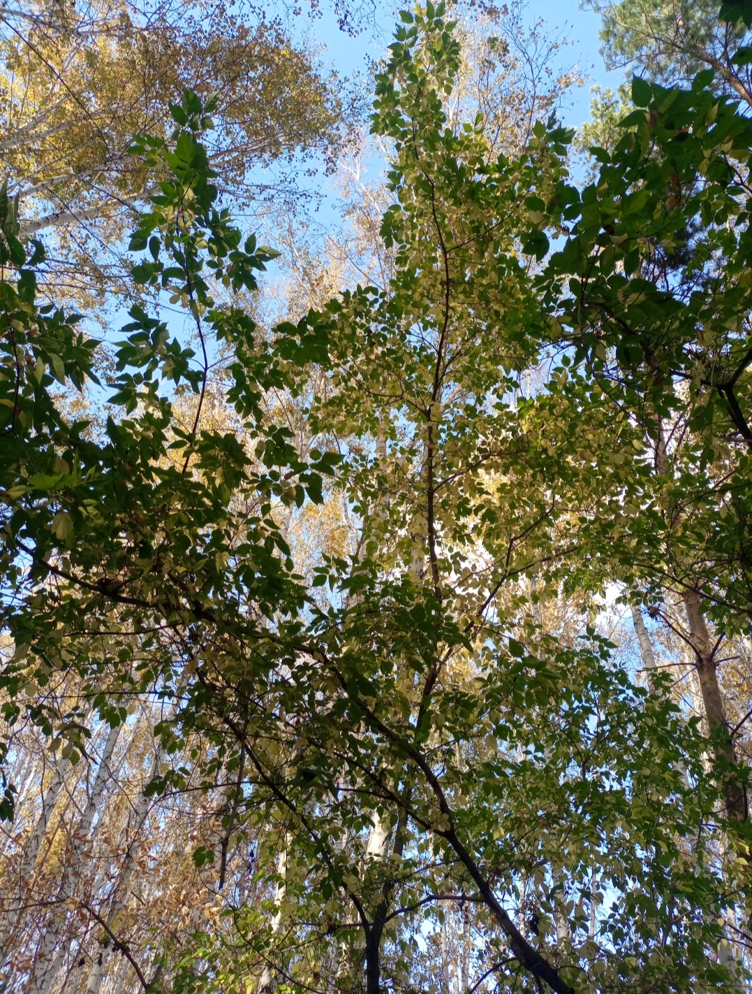 Краснозерский судебный район Новосибирской области