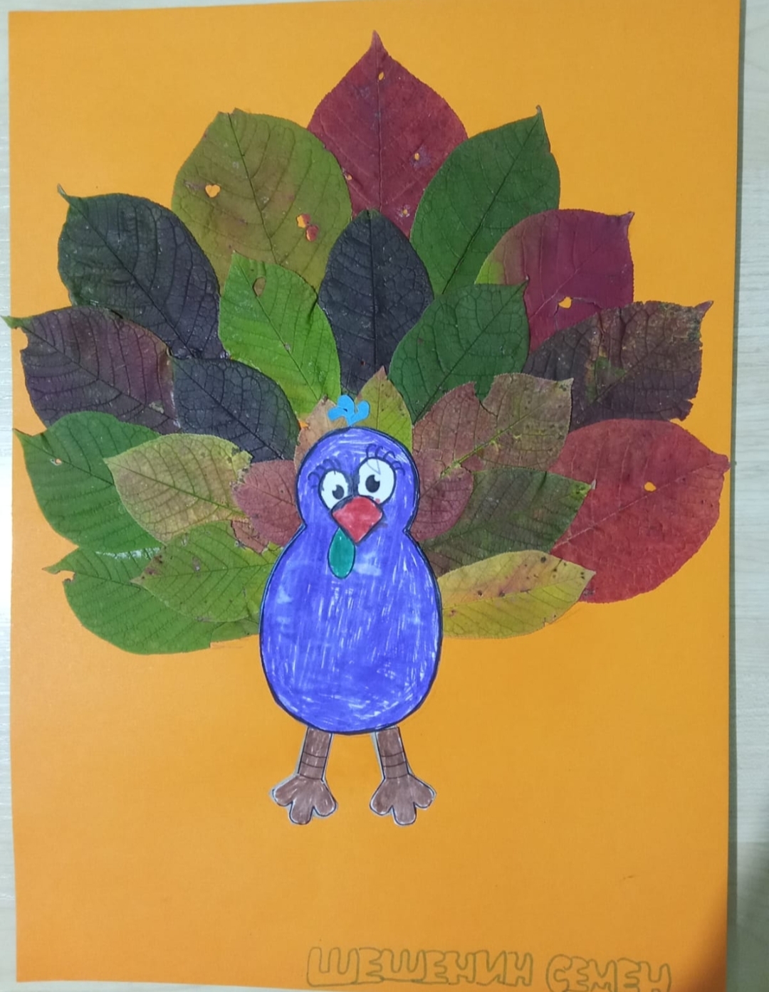 Ордынский районный суд Новосибирской области