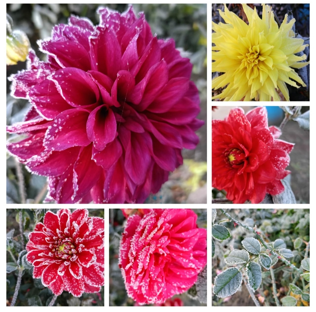 Ордынский районный суд Новосибирской области