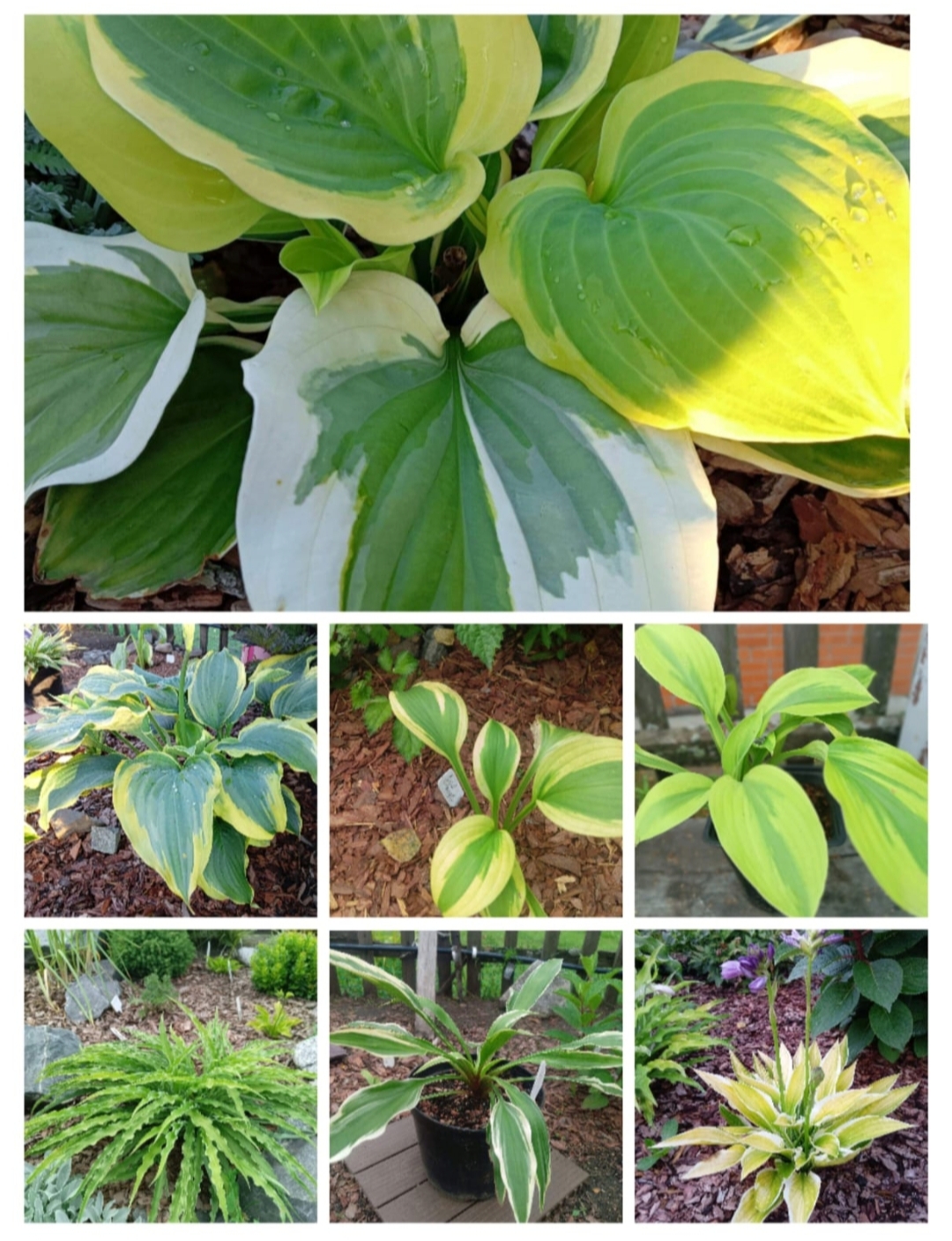 Ордынский районный суд Новосибирской области