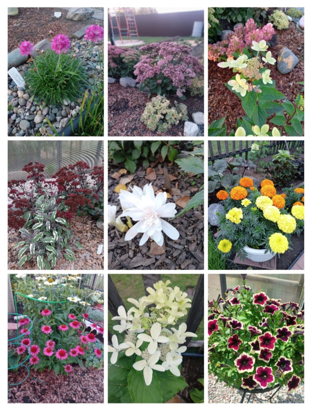 Ордынский районный суд Новосибирской области