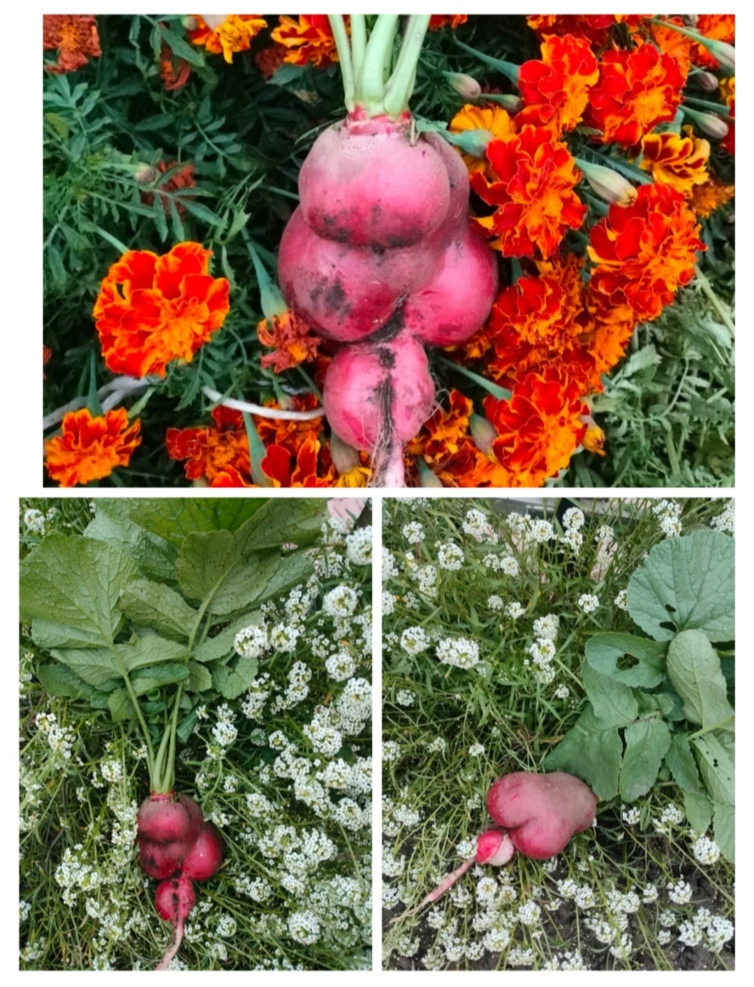 Ордынский районный суд Новосибирской области