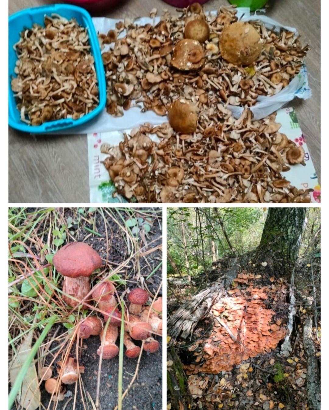 Ордынский районный суд Новосибирской области