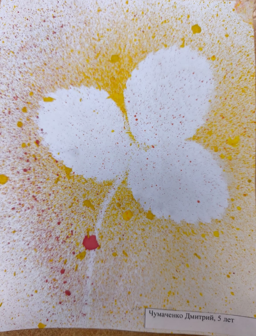 Советский районный суд г. Новосибирска