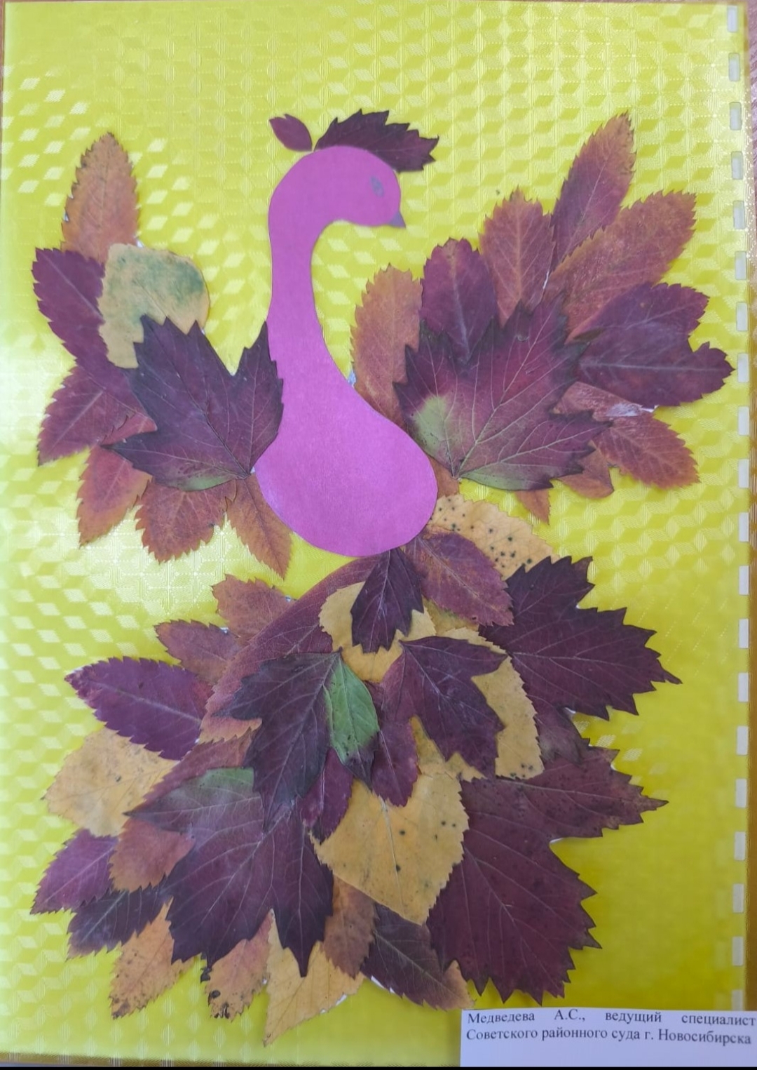 Советский районный суд г. Новосибирска