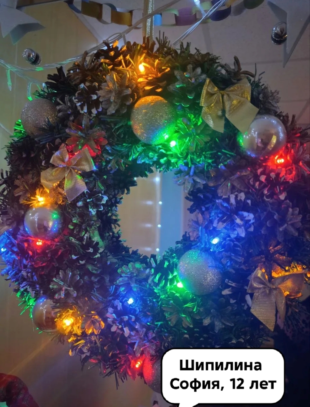 Шипилина София