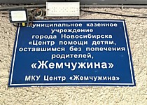 Новосибирский районный суд Новосибирской области