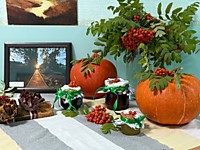 Новосибирский областной суд