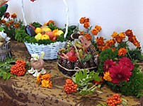 Карасукский районный суд Новосибирской области