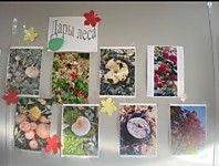 Куйбышевский районный суд Новосибирской области