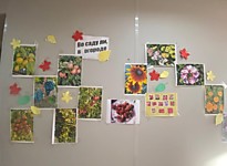 Куйбышевский районный суд Новосибирской области