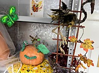 Куйбышевский судебный район Новосибирской области