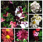 Ордынский районный суд Новосибирской области