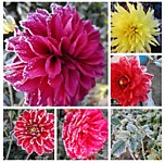 Ордынский районный суд Новосибирской области