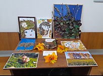 Тогучинский районный суд Новосибирской области